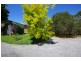 59 Osterley Avenue, Orient Point NSW 2540