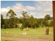 Wandandian NSW 2540
