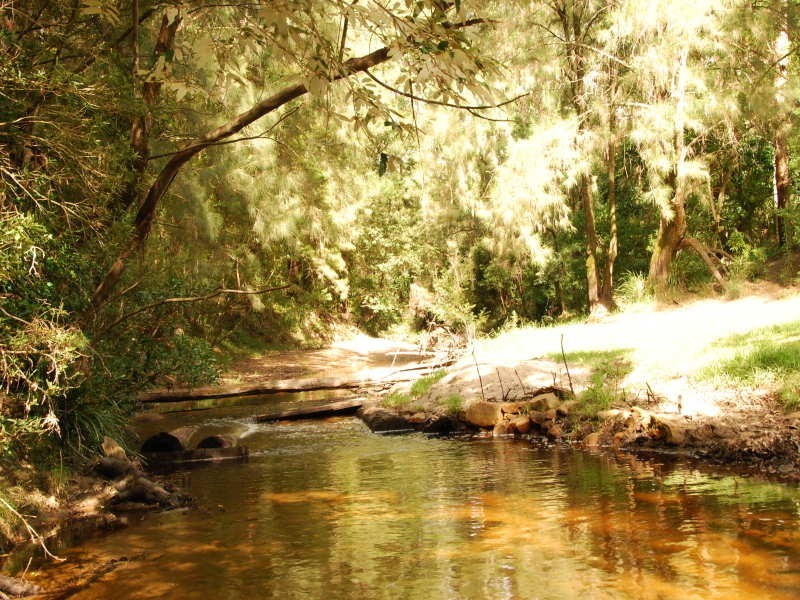 Wandandian NSW 2540