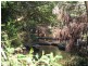 Wandandian NSW 2540