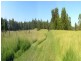 Wandandian NSW 2540
