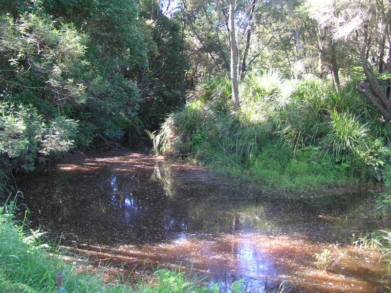 Wandandian NSW 2540