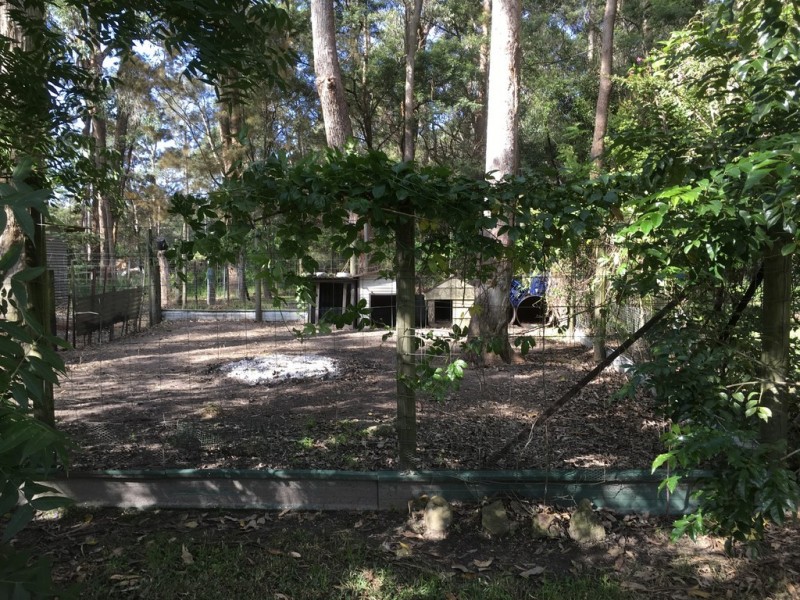 Falls Creek NSW 2540