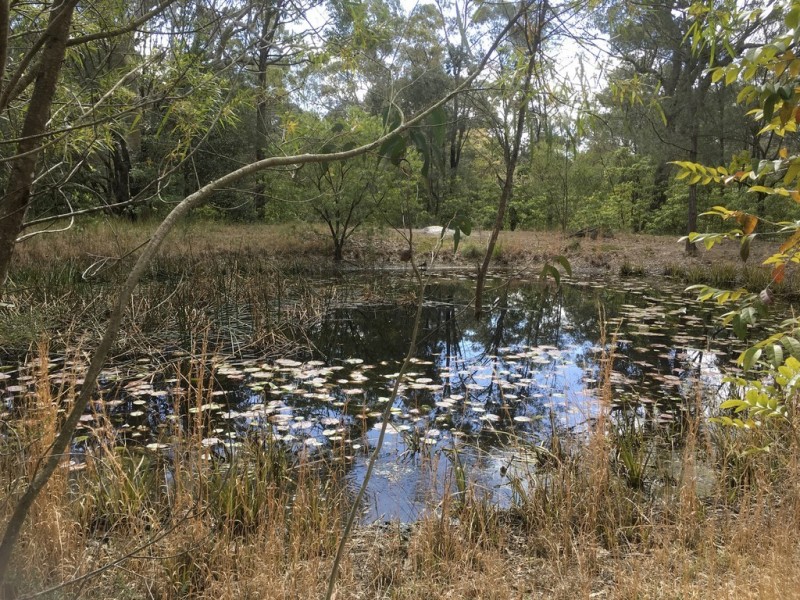 Tomerong NSW 2540