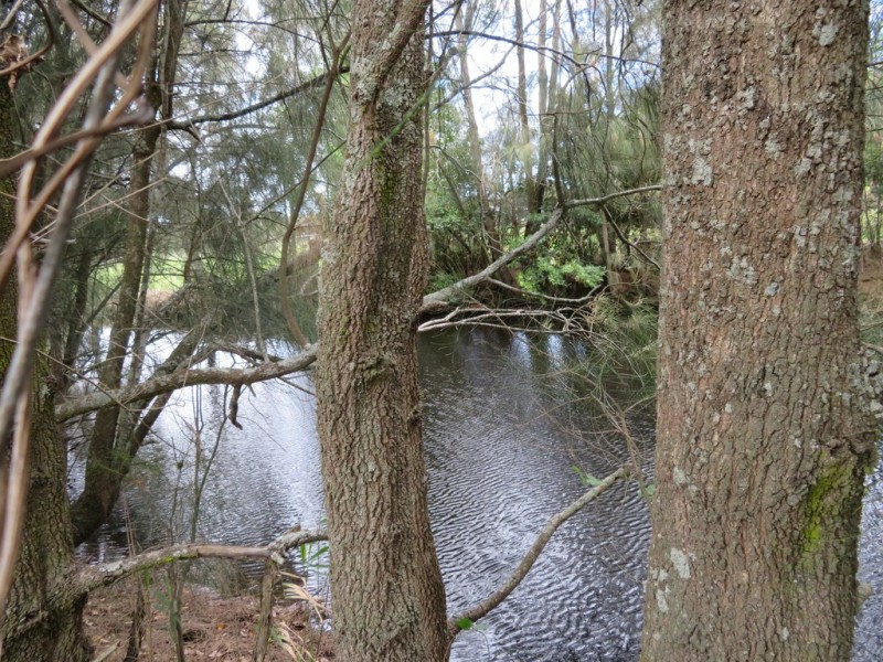 166 Kingfisher Street, Shoalhaven Heads NSW 2535