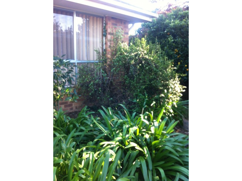 2/141 Plunkett Street, Nowra NSW 2541