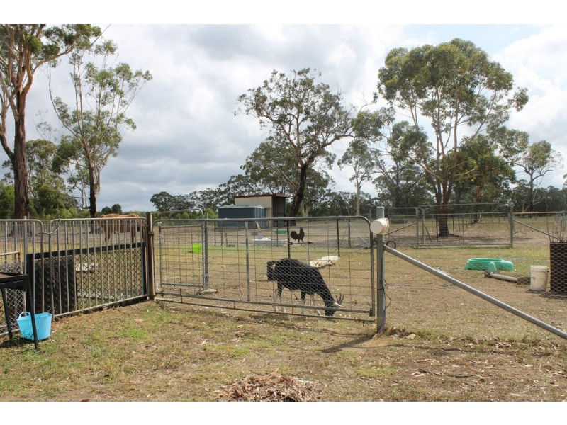 41 Flatrock Road, Mundamia NSW 2540