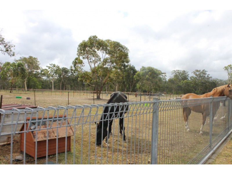 41 Flatrock Road, Mundamia NSW 2540