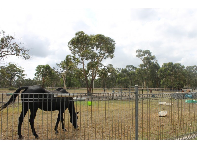 41 Flatrock Road, Mundamia NSW 2540