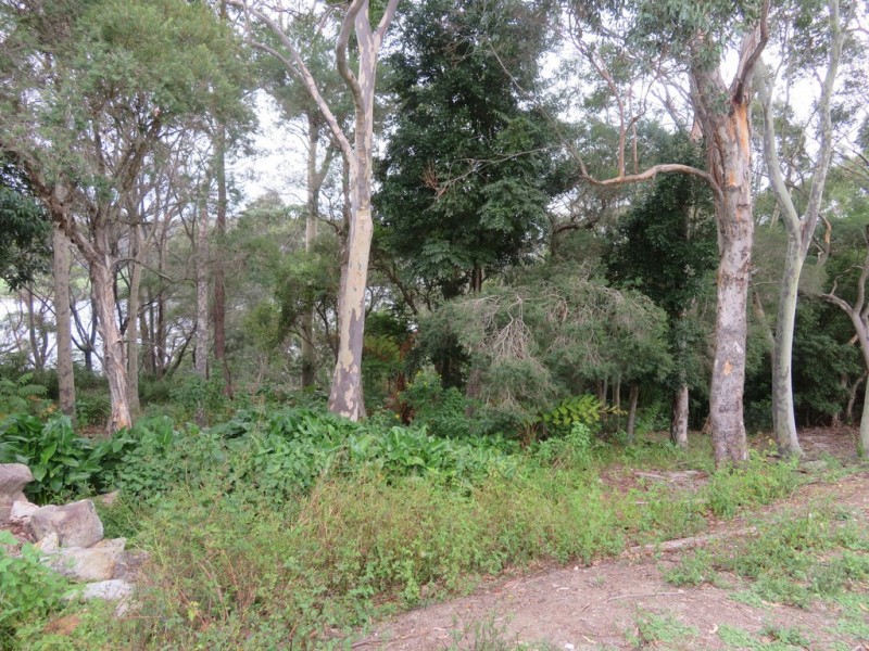 204 Yurunga Drive, North Nowra NSW 2541