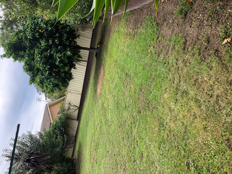 109 WARREN AVENUE, North Nowra NSW 2541 Floorplan