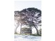 GD/ 1 Beach Street, Huskisson NSW 2540