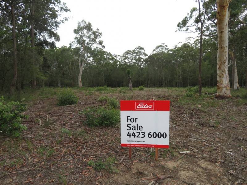 10 SANDSTONE PLACE, Bangalee NSW 2541