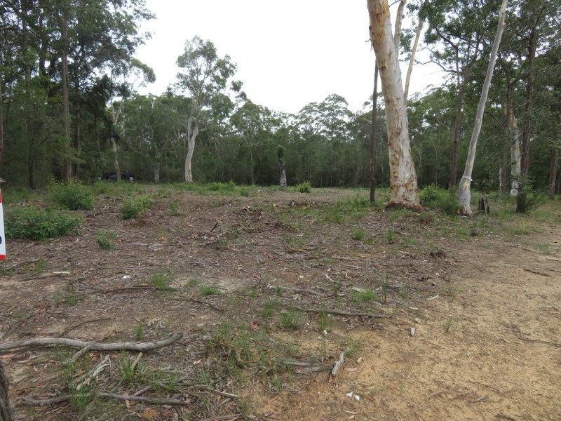 10 SANDSTONE PLACE, Bangalee NSW 2541