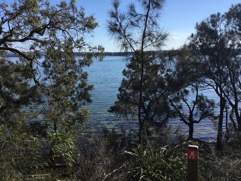 241 Walmer Avenue, Sanctuary Point NSW 2540
