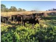 Nerriga NSW 2622