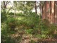 Vincentia NSW 2540