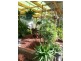 Sanctuary Point NSW 2540