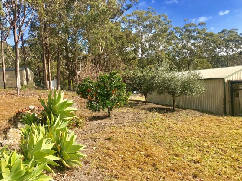53 WOOLLAMIA ROAD, Woollamia NSW 2540