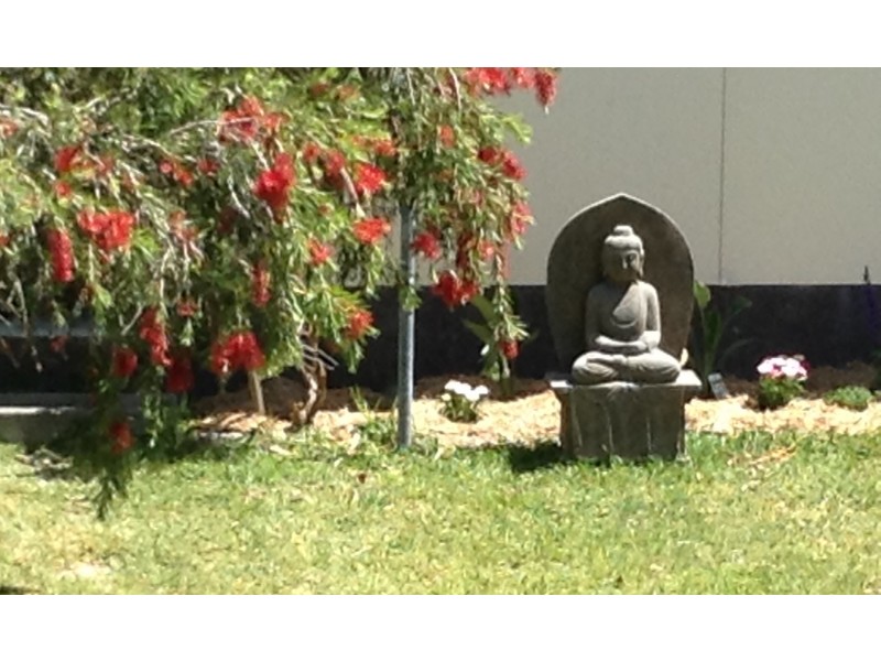 53 WALDEGRAVE CRES, Vincentia NSW 2540