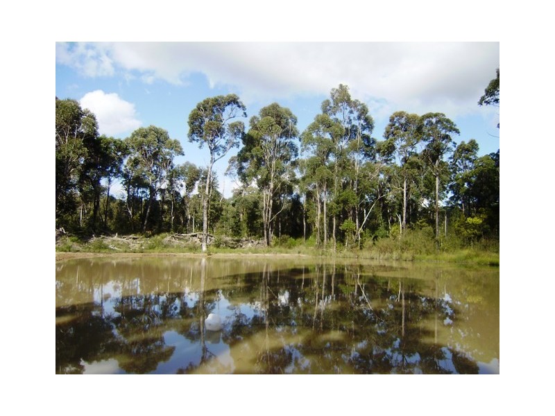 Falls Creek NSW 2540