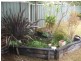 7 Platypus Avenue, Sanctuary Point NSW 2540