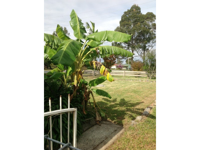 119 Links Avenue, Sanctuary Point NSW 2540