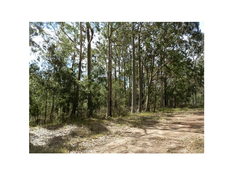 Lot 43 Pineforest Road, Tomerong NSW 2540