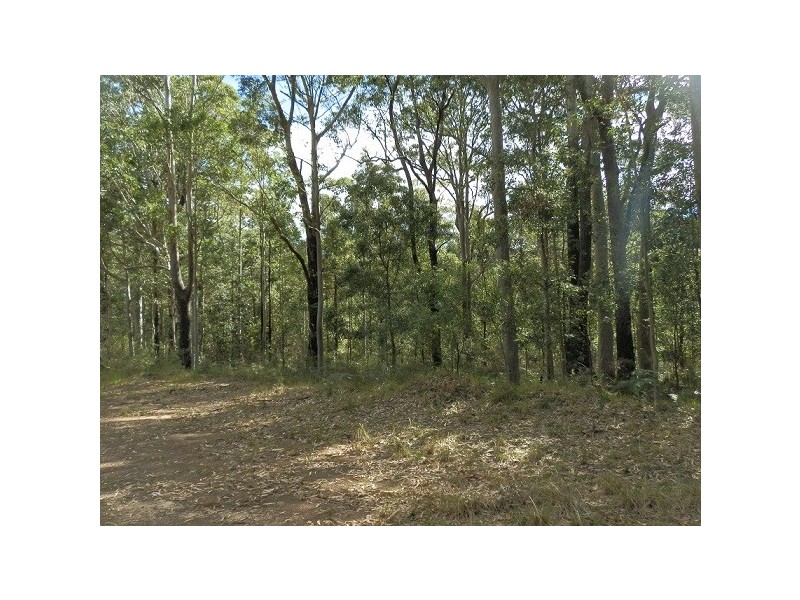 Lot 43 Pineforest Road, Tomerong NSW 2540