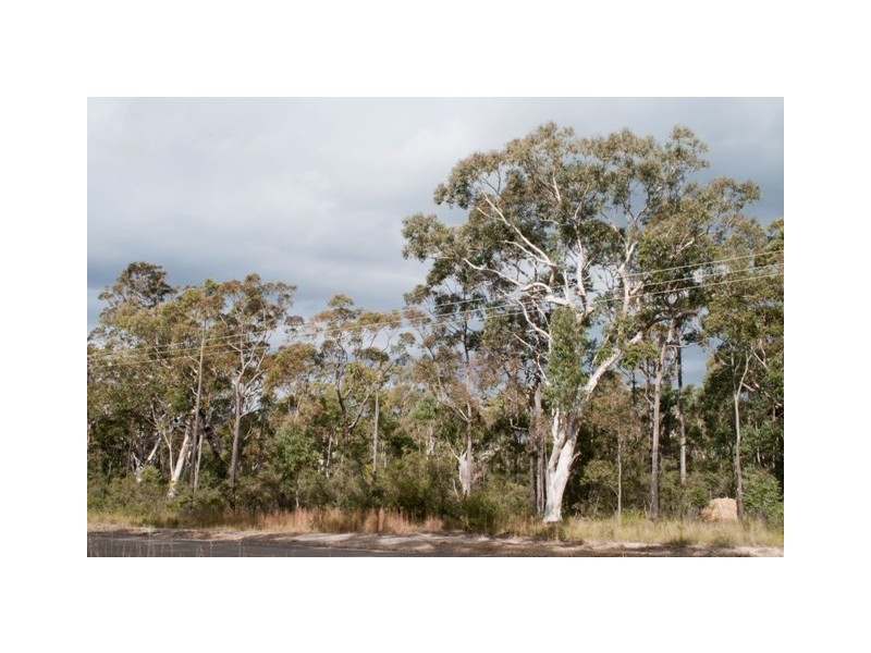 Tomerong NSW 2540