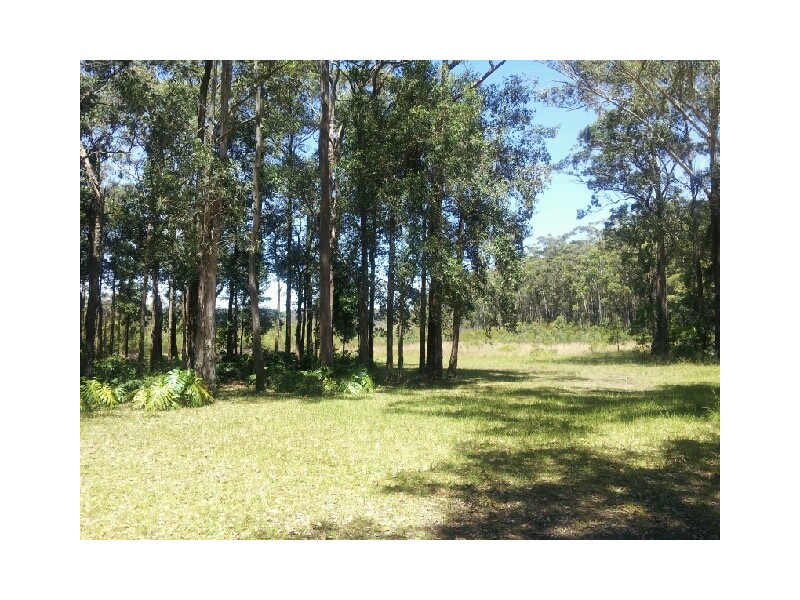 79 Willowford Road, Woollamia NSW 2540