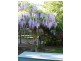 5 Tapalla Avenue H068, Huskisson NSW 2540