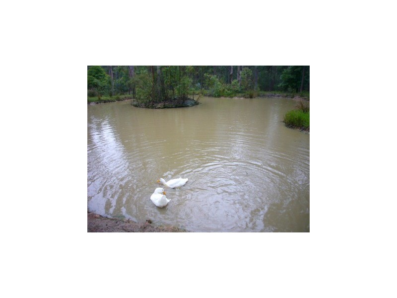 16 Fairfax Rd, Woollamia NSW 2540