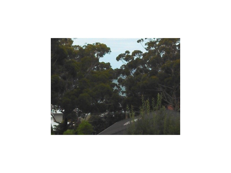 6 Waldegrave Cres, Vincentia NSW 2540