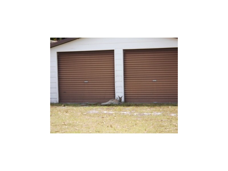 29 Greville Avenue, Sanctuary Point NSW 2540