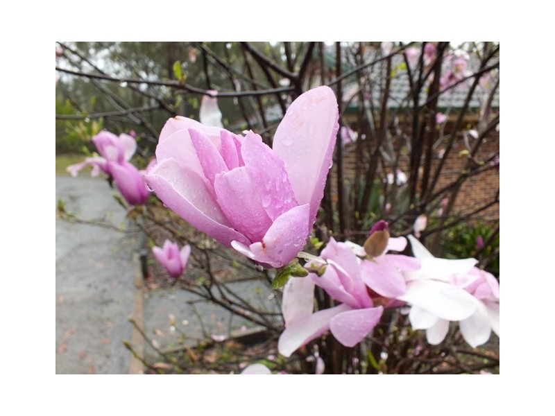 Falls Creek NSW 2540