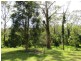 99 Falls Road, Falls Creek NSW 2540