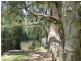 99 Falls Road, Falls Creek NSW 2540