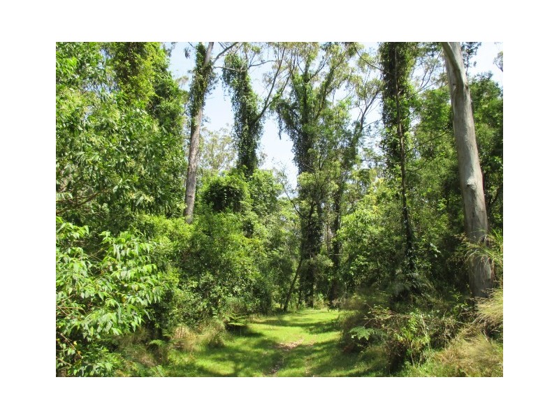 99 Falls Road, Falls Creek NSW 2540
