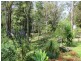 99 Falls Road, Falls Creek NSW 2540