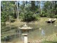 99 Falls Road, Falls Creek NSW 2540