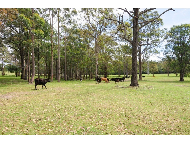 Falls Creek NSW 2540