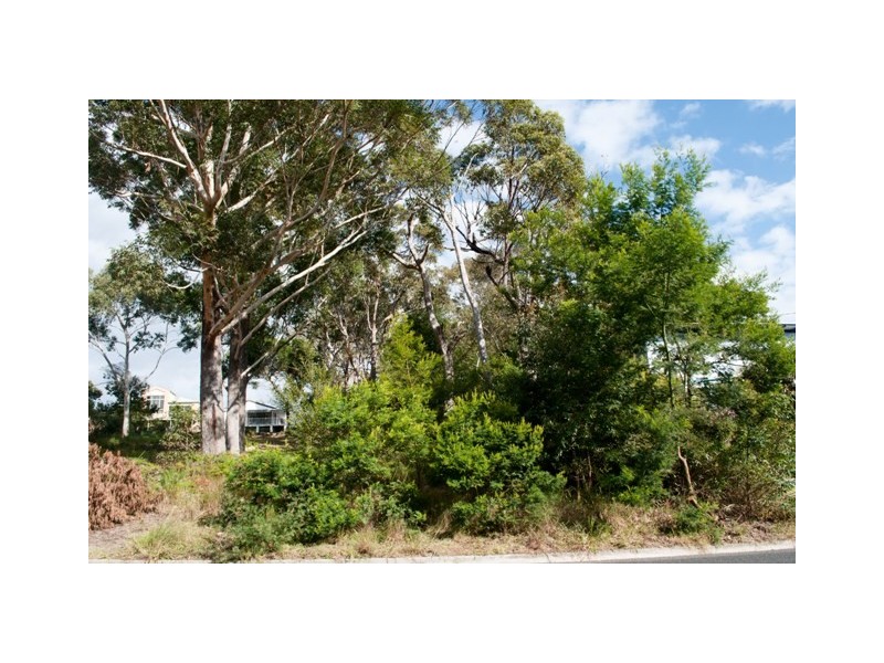 Vincentia NSW 2540