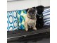 12 The Bowery, Culburra Beach NSW 2540