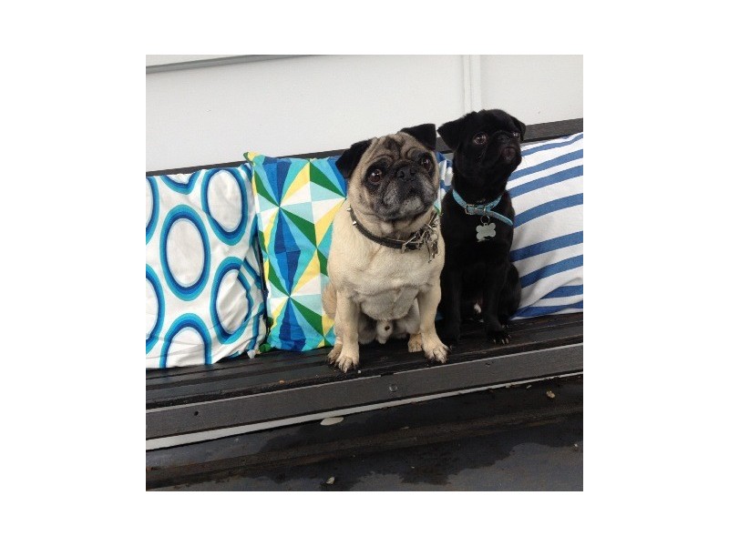 12 The Bowery, Culburra Beach NSW 2540