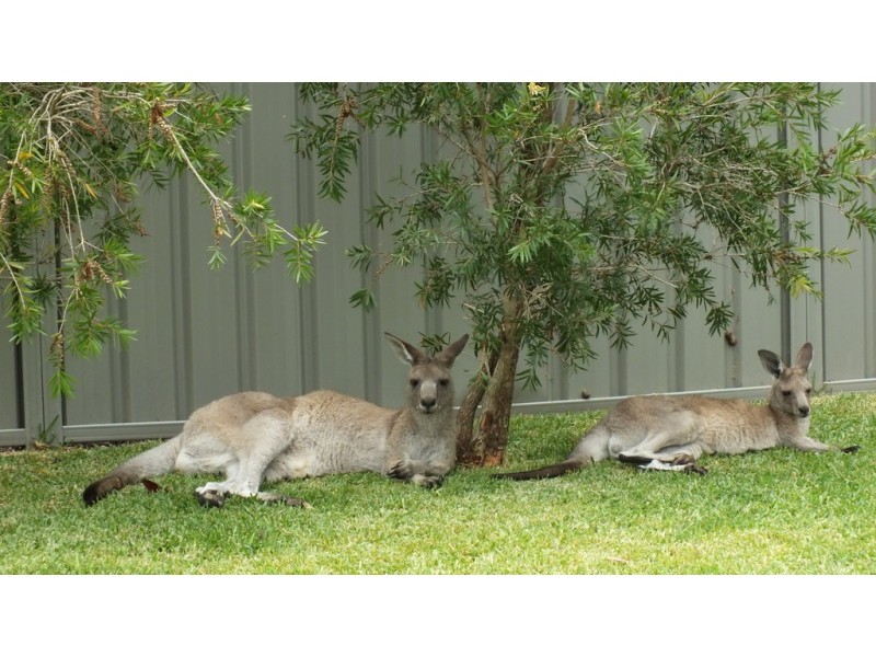 Sanctuary Point NSW 2540