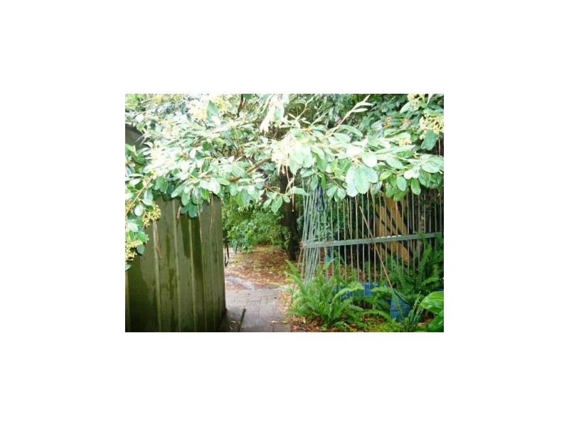 57 Greville Avenue, Sanctuary Point NSW 2540