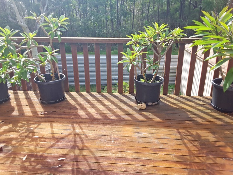 24 Roskell Road, Callala Beach NSW 2540