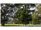 Sanctuary Point NSW 2540