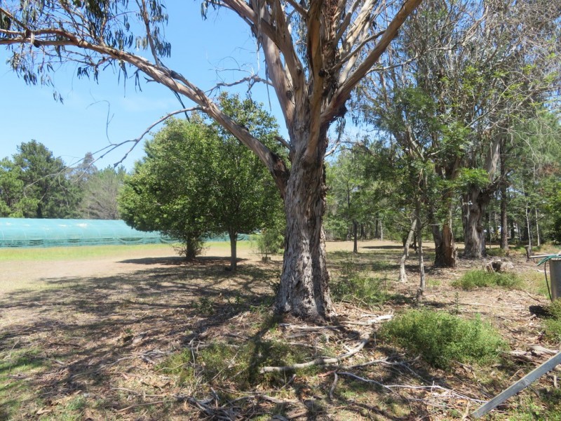 2 Central Avenue, South Nowra NSW 2541